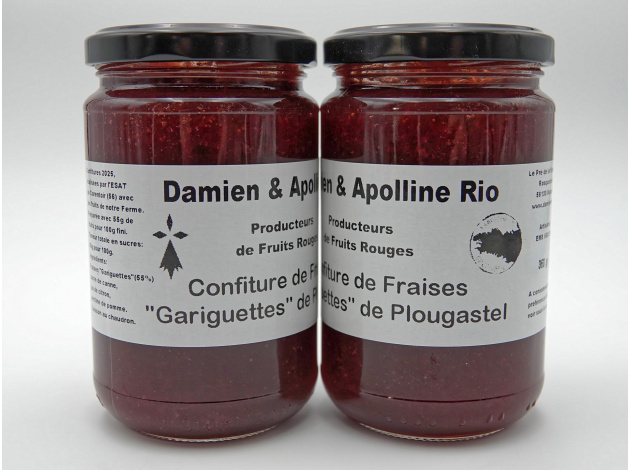 damien-apolline-rio_confiture_fraises-gariguettes_plougastel