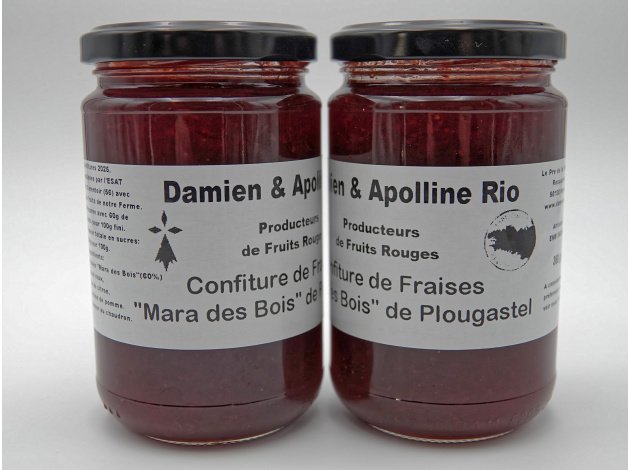 damien-apolline-rio_confiture_fraises-mara-bois_plougastel