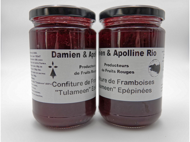 damien-apolline-rio_confiture_framboises_tulameen_epepinees