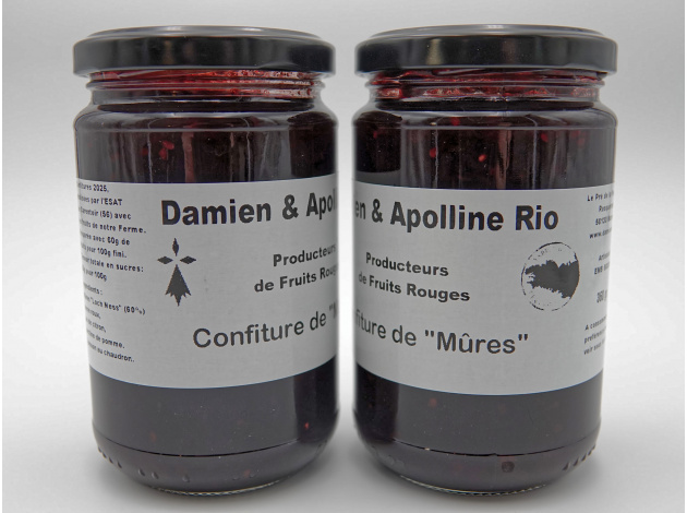 damien-apolline-rio_confiture_mures