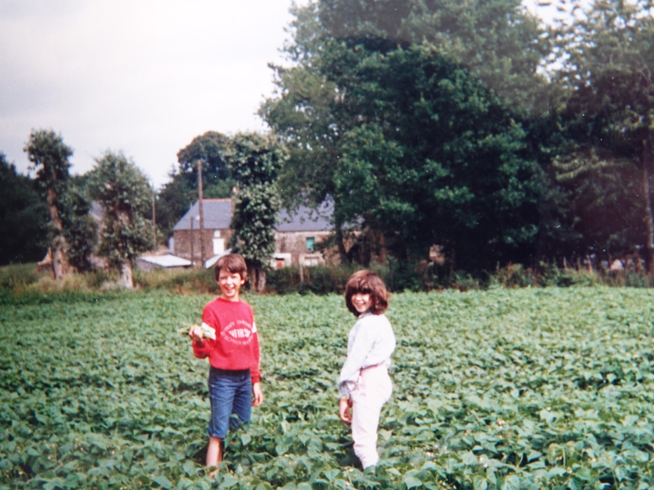 Damien & Apolline, cueillette de haricots verts