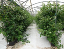 dsc06017