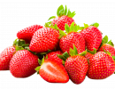fraises plougastel damien apolline rio