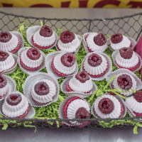 framboises damien apolline rio