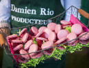 framboises damien apolline rio