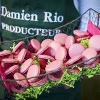 framboises damien apolline rio