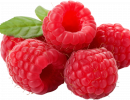framboises tulameen trans damien apolline rio
