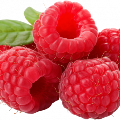 framboises tulameen trans damien apolline rio