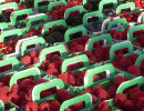 paniers fraise framboises cassis rio