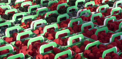 paniers fraise framboises cassis rio