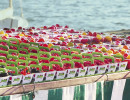 paniers fruits rouges marches rio