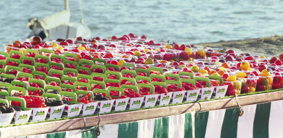 paniers fruits rouges marches rio