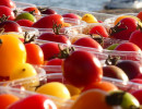 entete tomates cerises